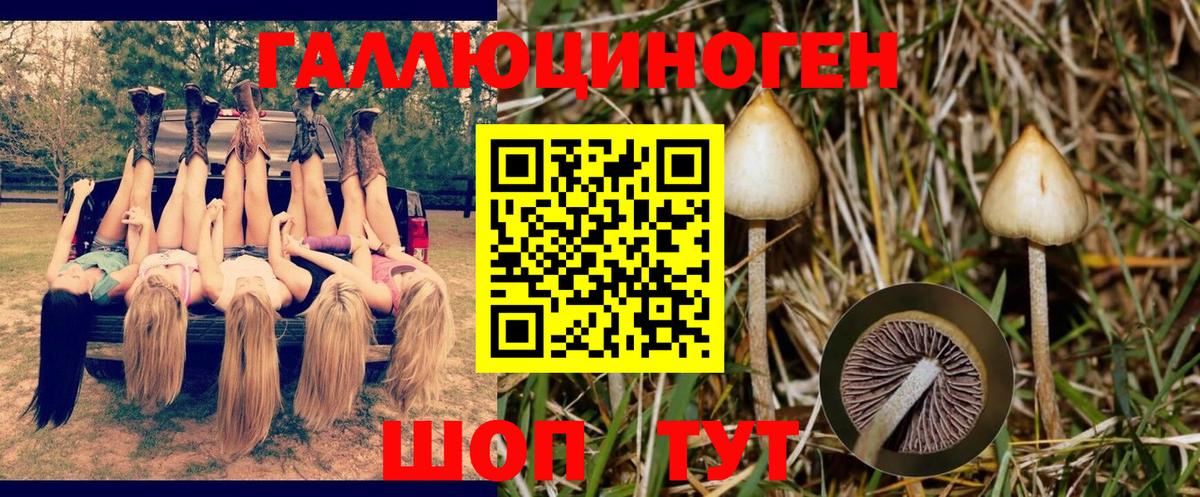 Биробиджан  Галлюциногенные грибы Cubensis  Вход с VPN  где продают наркотики  Псилоцибиновые грибы GOLDEN TEACHER 